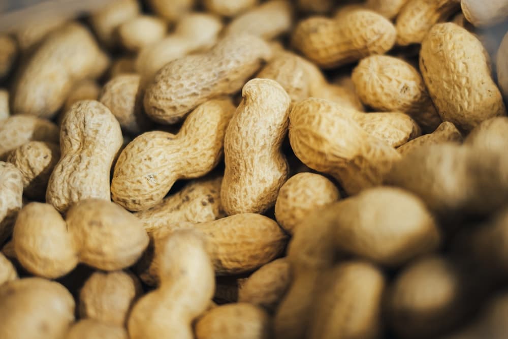 Legumes