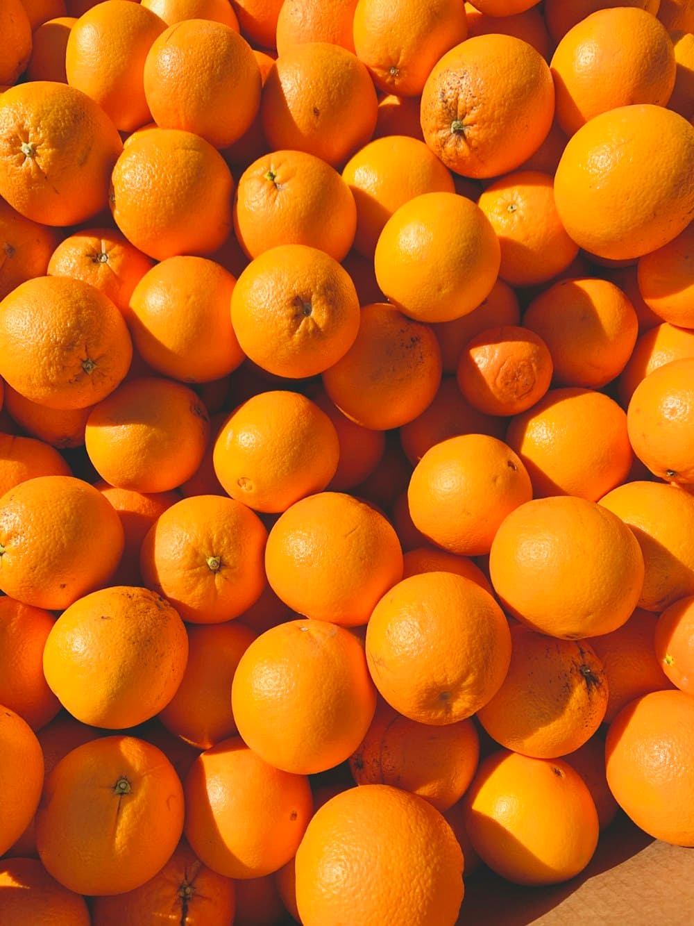 Valencia Oranges