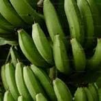 Apem Plantain Bunches - Eastern Region — photo 1