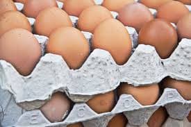 Fresh Table Eggs - Lohmann Brown Layers — photo 1