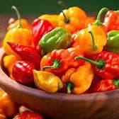Scotch Bonnet Hot Pepper Crates — photo 1